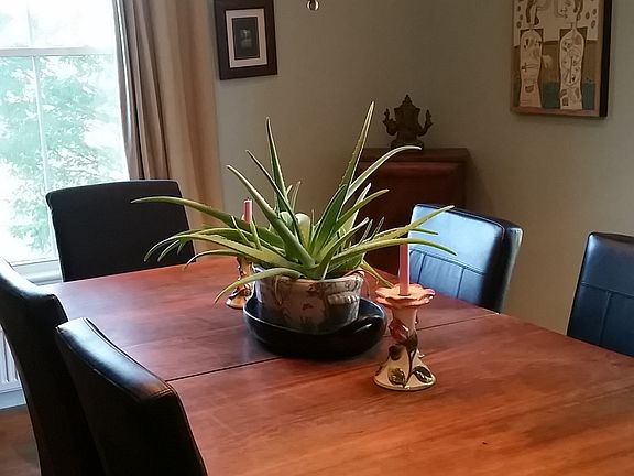 Elegant dining room