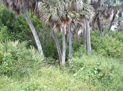 5th image of 12690 N Highway A1a
