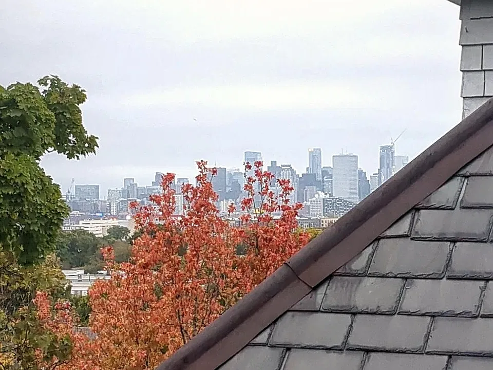 Views