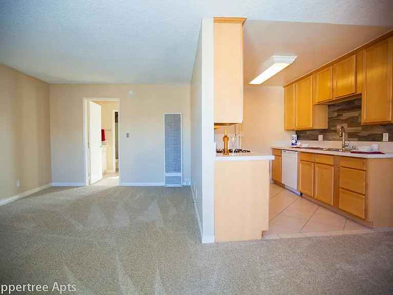 Peppertree Apartments — Photo 7