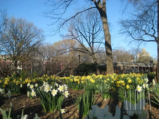 Rented by Alpha Properties NYC I LLC | media 33