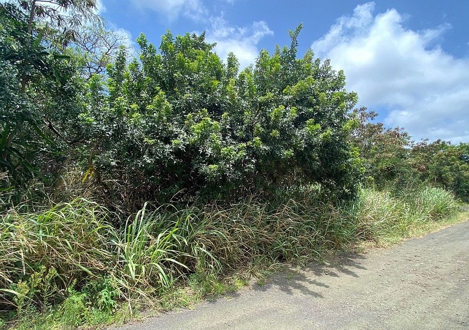 1st image of Puka St Lot 9