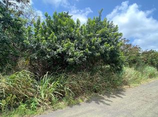 Puka St LOT 9, Naalehu, HI 96772