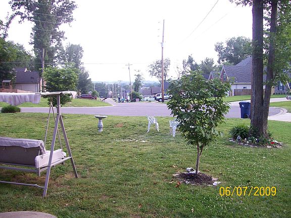 View from Front Porch