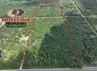 5910 S Shallow Dr, Idlewild, MI 49642