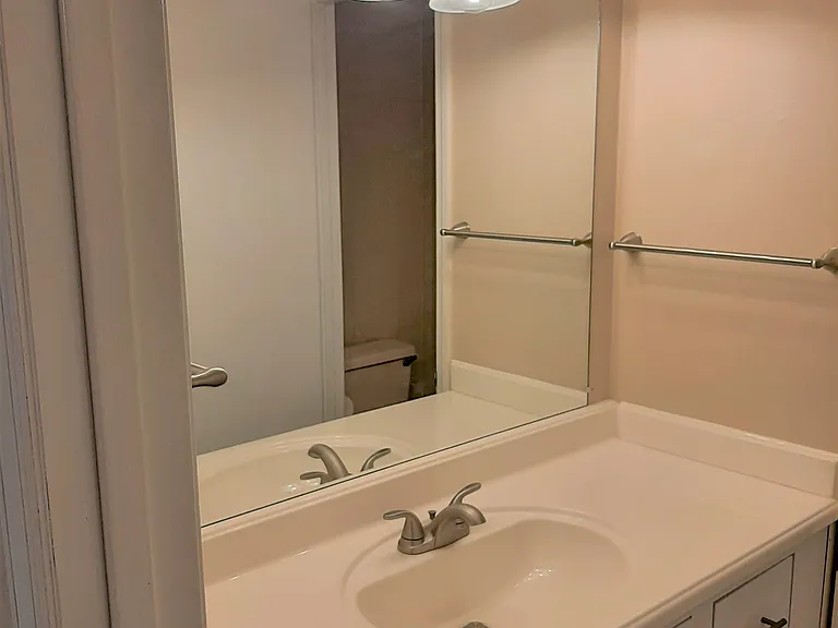 Master Bath Sink