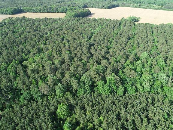 5th image of Dover Bridge Rd