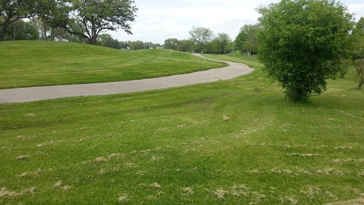 172 Golfview Dr — Photo 3