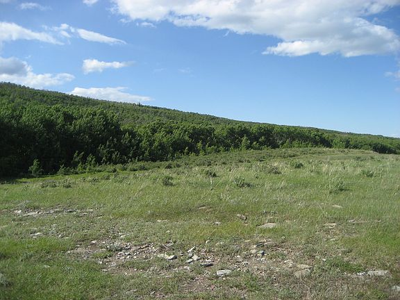 3rd image of Nhn Private Road In Arlee Tracts