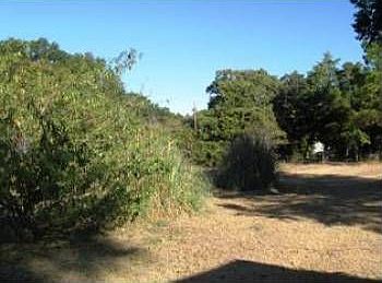 5th image of 25943 County Road 2409