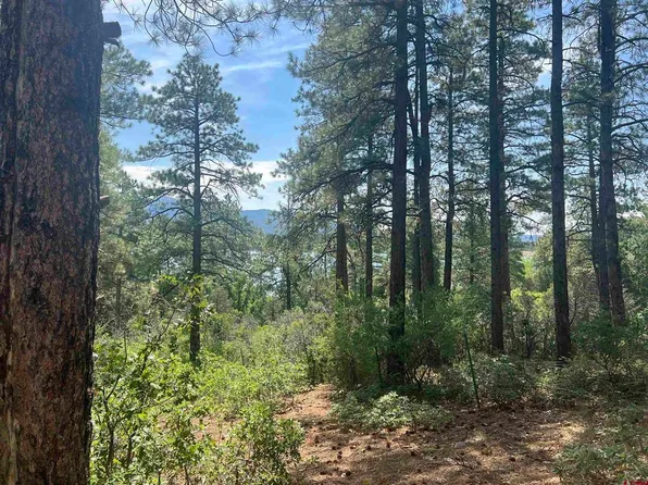 13310 Road 41.9, Mancos, CO 81328