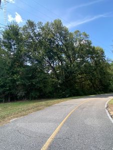 225 E Sunnybrook Rd LOT 1317, Carriere, MS, 39426