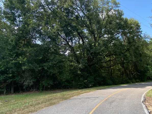 225 E Sunnybrook Rd Lot 1317, Carriere, MS 39426