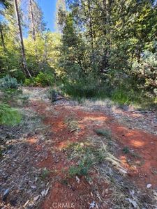 0 Walden Pond Ln #23, Forbestown, CA, 95941