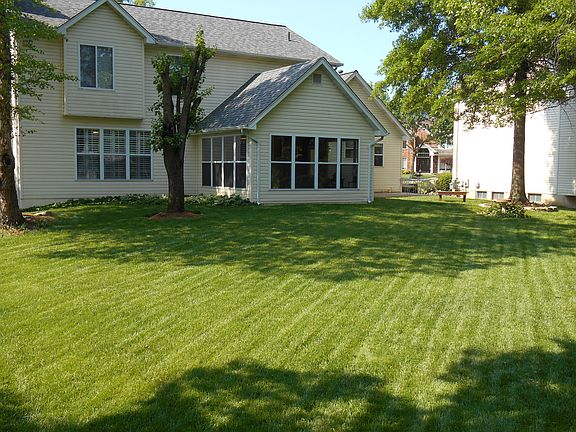 Family Friendly Rear Yard