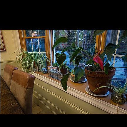 3rd image of 19 Laurel Ave