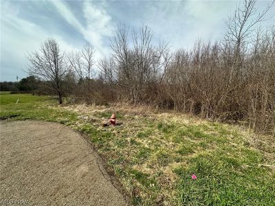 Westwood Ave, Alliance, OH, 44601
