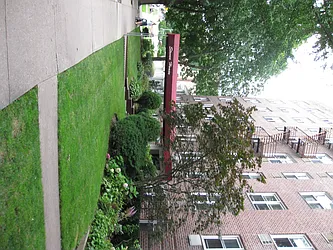 Rented by Crossings Realty