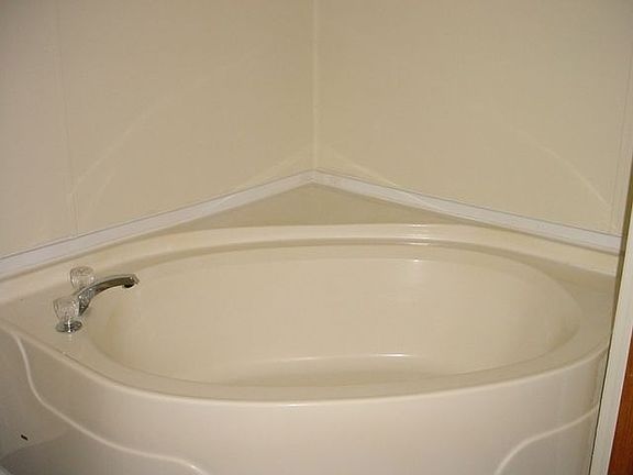 Master Bath Garden Tub