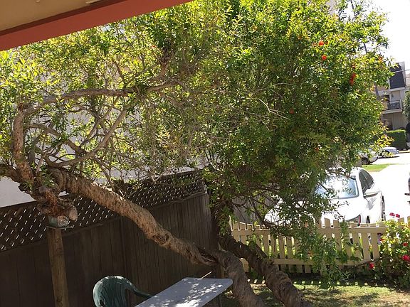 2nd image of 408 S Catalina Ave APT B