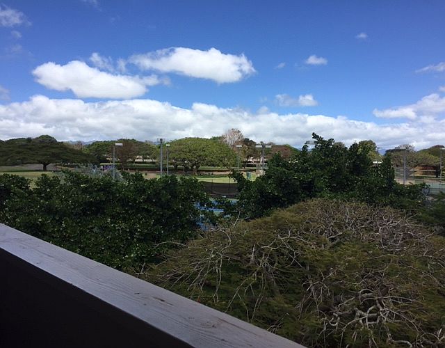 Mountain and Park View 