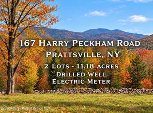 167 Harry Peckham Rd, Prattsville, NY 12468