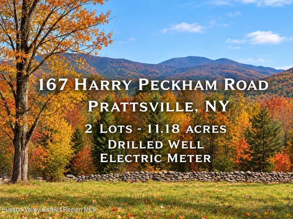 167 Harry Peckham Road, Prattsville, NY 12468