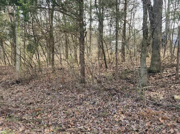 L-9-B Yancopin Dr #25, Cherokee Village, AR 72529