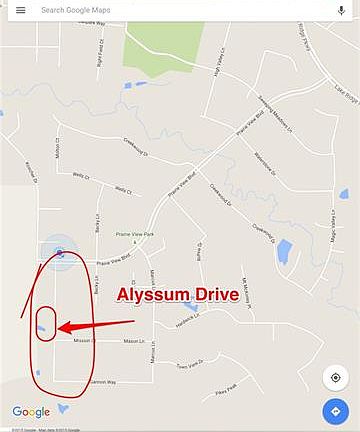 2nd image of 2227 Alyssum Dr