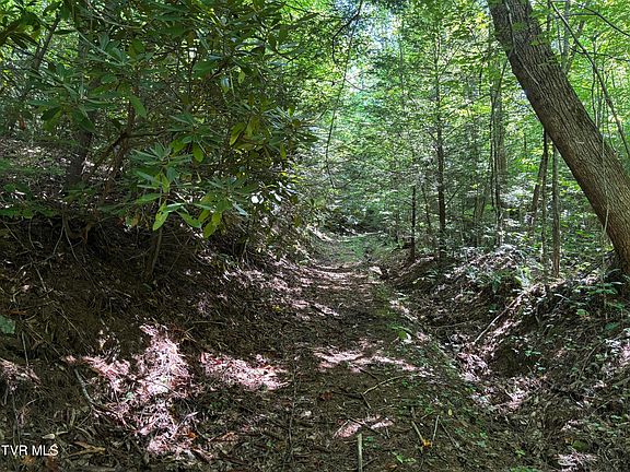 2nd image of 0 Betty Hammons Ln