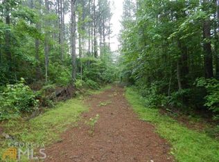 45 Hunters Run, Senoia, GA 30276