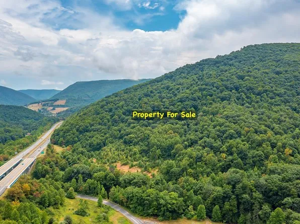 4943 Laurel Fork Rd, Rocky Gap, VA 24366