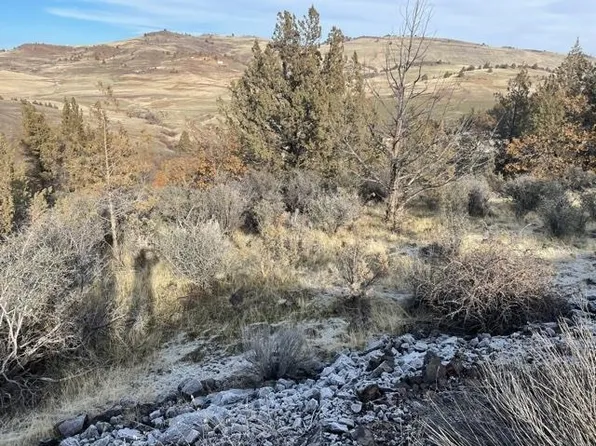 Iron Gate Lake Creek Ridge Ln Unit 3, Hornbrook, CA 96044