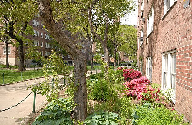 1st image of 30 W 141st St APT 1L