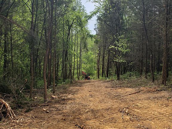 4th image of 397 Moore Hollow Rd Lot 0