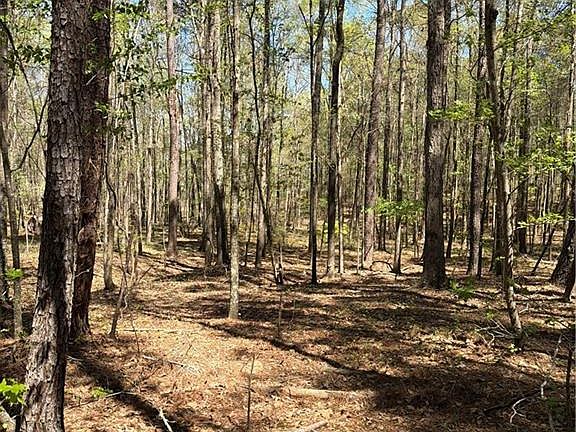 5th image of N/a Old Union Point Rd