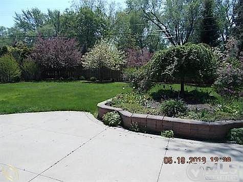 backyard.JPG