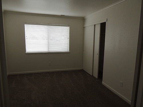 5th image of 684 Dorothy Way