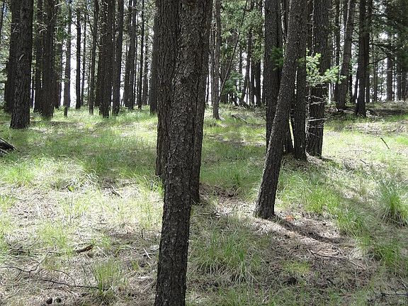 5th image of Lot 41 Vail Ave