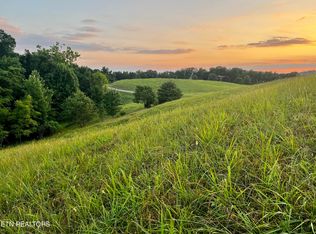 146 Tanzanite Trl, New Tazewell, TN 37825