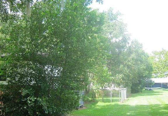 5th image of 1731 Evangeline Ave
