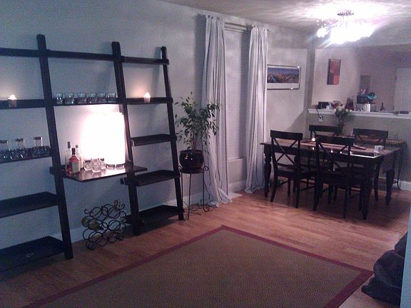 Entertaining / Bar Area
