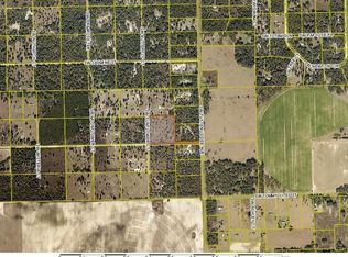 149 SW Sunflower Ct, Fort White, FL 32038