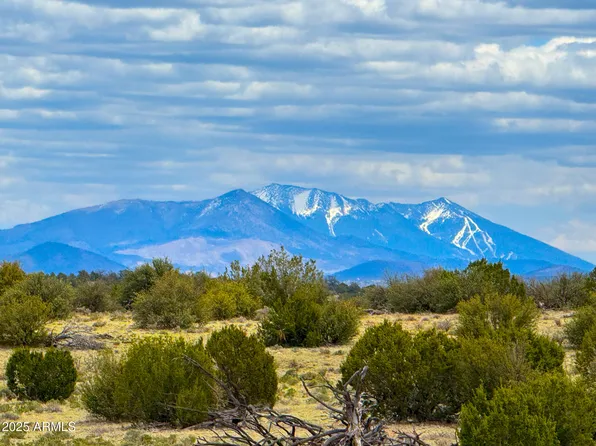 9984 W TRAPPER Way #1007, Williams, AZ 86046