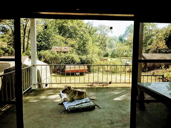 Back porch - Adorable pooch 