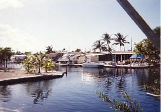 2nd image of 14 Mangrove Ky