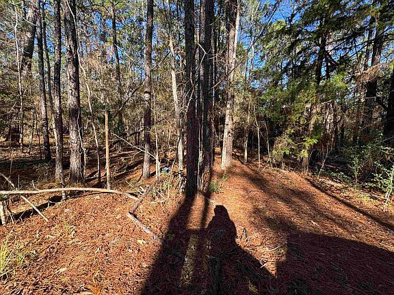 4th image of 345 Sumac Dr