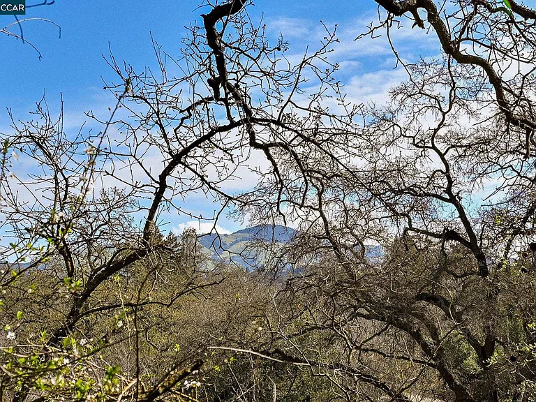 105A Alamo Ranch Rd — Photo 9