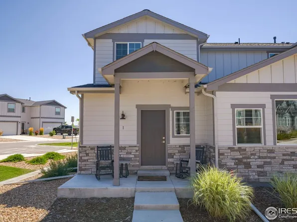 294 E Chestnut St #1, Windsor, CO 80550