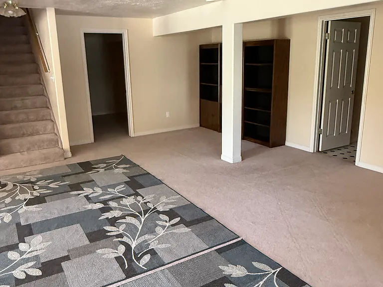 Livingroom area with book shelves